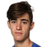 Gustavo Heide